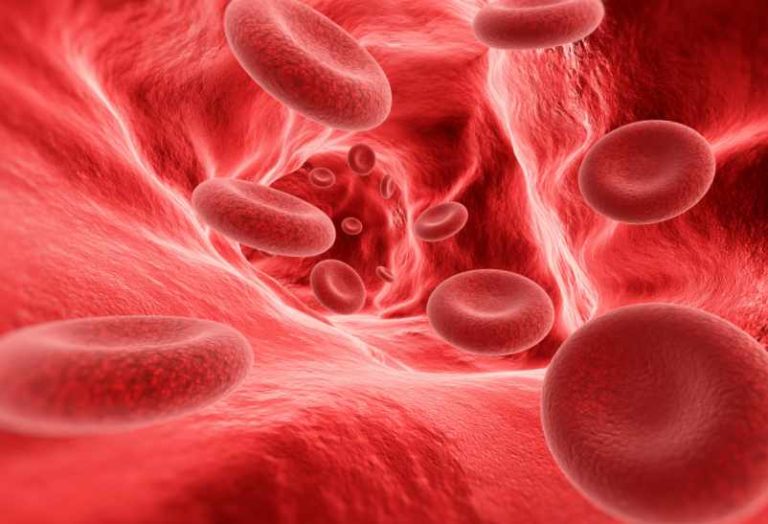 Remède de grand mère pour déboucher les artères : l'essentiel à savoir