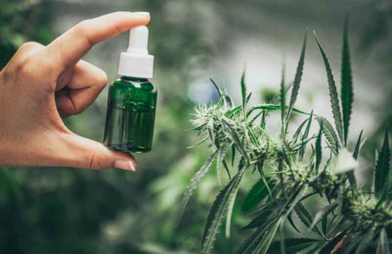 Huile de CBD pressée à froid : quels sont les bienfaits ?