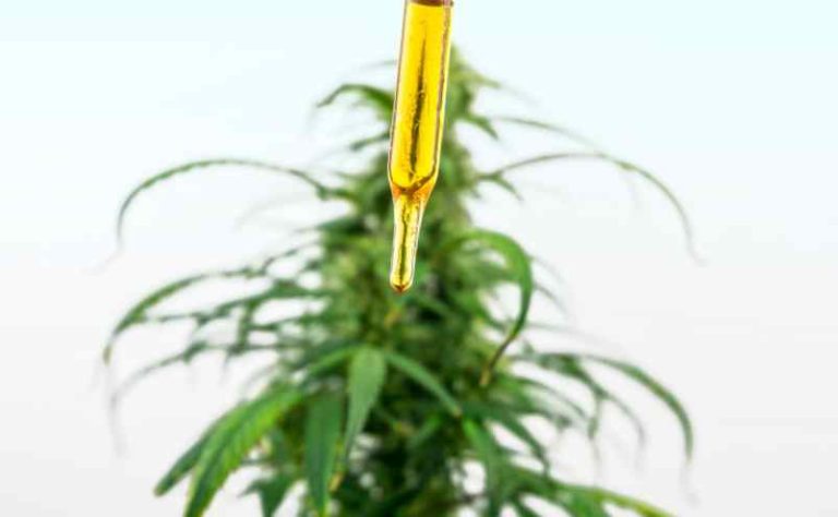 Qu'est ce que l'huile de CBD full spectrum ?
