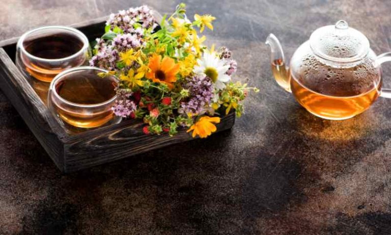 Comment se soigner avec les plantes grâce à la phytothérapie ?