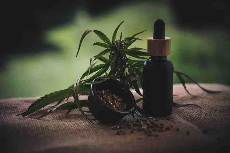 L'impact du CBD sur la santé du système cardiovasculaire